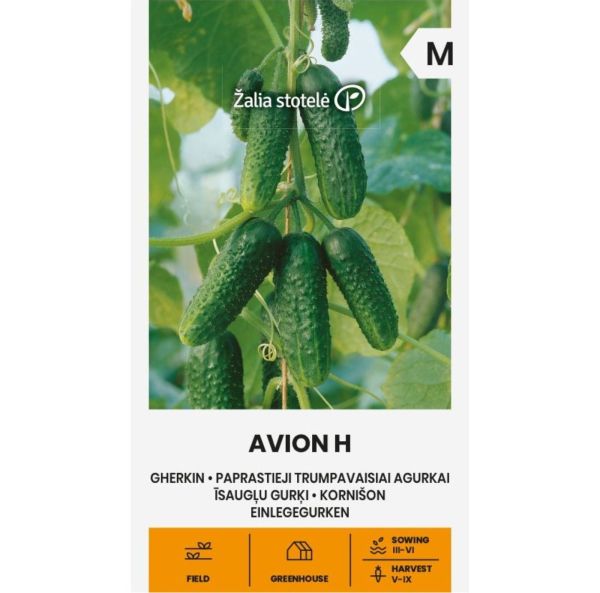 Avomaankurkku, itsepölyttävä